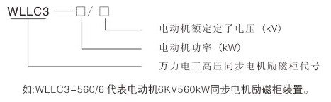 WLLC系列高压同步电机励磁柜